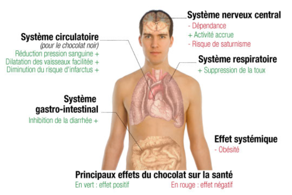 Image sur les bienfaits du chocolat